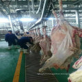 Turnkey Sheep Goat Slaughtering Equipment Slaughter Line